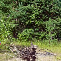 Прощай,пляжик. :: ВикТор Быстров Прощай,пляжик. :: ВикТор Быстров