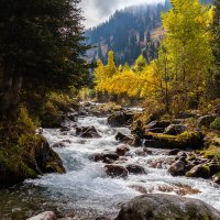 Казахстан :: Андрей Щукин Казахстан :: Андрей Щукин