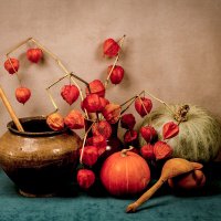 Осенние дары :: Людмила Павловна Крышковец