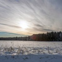 Пасмурный полдень :: Валерий Иванович Пасмурный полдень :: Валерий Иванович