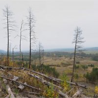 Осень :: **** vedin Осень :: **** vedin