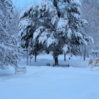 Парк зимний :: Татьяна Лютаева Парк зимний :: Татьяна Лютаева