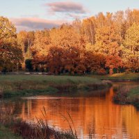 Павловский парк :: skijumper Иванов Павловский парк :: skijumper Иванов