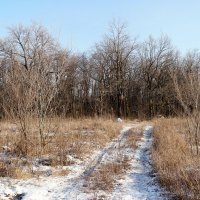 Да, долго нам ещё на лыжах не ходить... :: Андрей Заломленков Да, долго нам ещё на лыжах не ходить... :: Андрей Заломленков