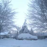 Зима :: Елена Семигина Зима :: Елена Семигина