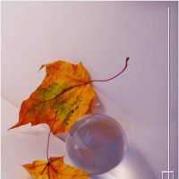 ЭТЮД... :: Elvira E. ЭТЮД... :: Elvira E.