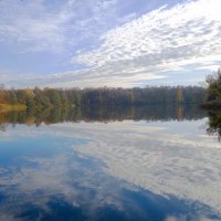 Ноябрьский пейзаж :: Рита Симонова Ноябрьский пейзаж :: Рита Симонова