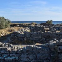 Природа Крыма :: Amazing Cosmea Природа Крыма :: Amazing Cosmea