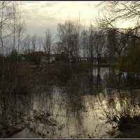 *** :: Aleksandr Gal