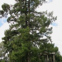 Часовня :: Александр Ильчевский Часовня :: Александр Ильчевский