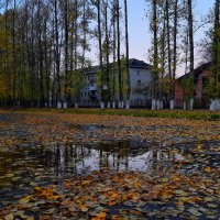 Золотая осень :: Олег Загорулько Золотая осень :: Олег Загорулько