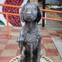 ___ :: Галина Ложечникова