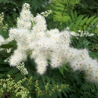 Весна :: Дмитрий П Весна :: Дмитрий П