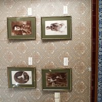 Массандровский дворец. Крым. :: Галина Массандровский дворец. Крым. :: Галина