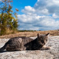 хранительница пещерного города Эски-Кермен :: Виталий Емельянов хранительница пещерного города Эски-Кермен :: Виталий Емельянов