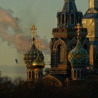 Спас на Крови :: Виктория Поликарпова