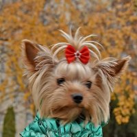 Учусь позировать! :: Валентина Нефёдова Учусь позировать! :: Валентина Нефёдова