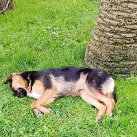 Прогулка по городу :: Tata Wolf