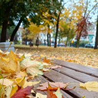 Петербургская осень :: Юлия Петлякова