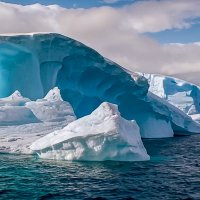 Антарктида :: Aleksey Afonin Антарктида :: Aleksey Afonin