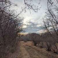 Ноябрь :: Андрей Хлопонин Ноябрь :: Андрей Хлопонин