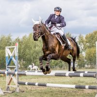 Конкур :: SanSan 