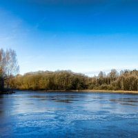 Осень в конце ноября. :: Милешкин Владимир Алексеевич Осень в конце ноября. :: Милешкин Владимир Алексеевич