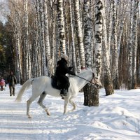 Верховая езда :: Галина Нестратова