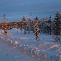 Короткие деньки :: Ольга Короткие деньки :: Ольга