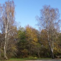 Ноябрь :: Рита Симонова Ноябрь :: Рита Симонова