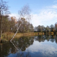 Ноябрь :: Рита Симонова Ноябрь :: Рита Симонова