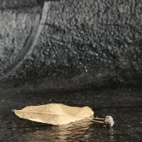 Напоминание осени :: Любимова Ольга 