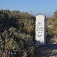 Природа Крыма :: Amazing Cosmea Природа Крыма :: Amazing Cosmea