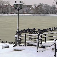 В ожидании добрых людей :: Сергей Карачин В ожидании добрых людей :: Сергей Карачин