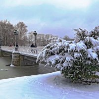 Лебяжий мост :: Сергей Карачин