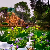 В тёплых краях :: Сергей Б.