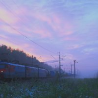 чужой кадр, достался вместе с флэшкой :: Артём 