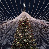 Главная елка Тулы :: Александр Конов Главная елка Тулы :: Александр Конов