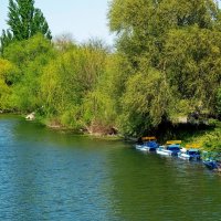 *** :: Яна Горбунова