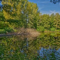 Пруд :: Jakob Dick