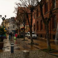 Зеленоградск :: Лилия .