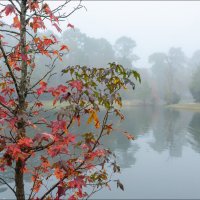 Утро :: **** vedin