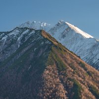 ... :: Жора Житников ... :: Жора Житников