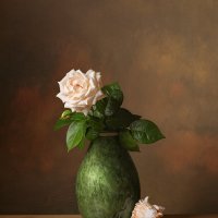 Нежная роза :: Светлана Л.