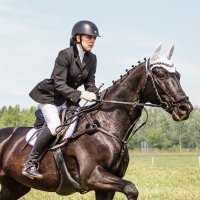 Конкур :: SanSan 