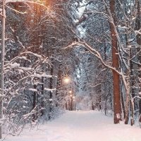 Вечером в парке :: Галина Нестратова