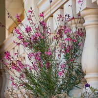 ... :: navalon M ... :: navalon M