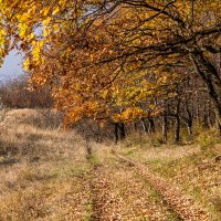 Время летит, вот и осень прошла! :: Игорь Сикорский Время летит, вот и осень прошла! :: Игорь Сикорский