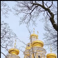 Владимирский собор :: Алексей Дмитриев