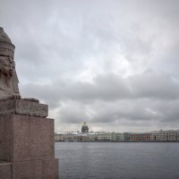 Сфинкс на Университетской набережной :: Andrey Lomakin